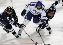 人人体育直播-吉林CBA球队：吉林队在CBA中的角色与发展潜力