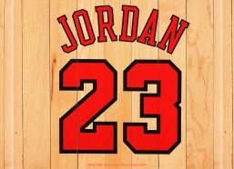 人人体育直播-火箭队阿里扎球员个人资料及真实身高披露